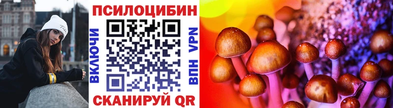 закладки  Калининград  Псилоцибиновые грибы Cubensis 