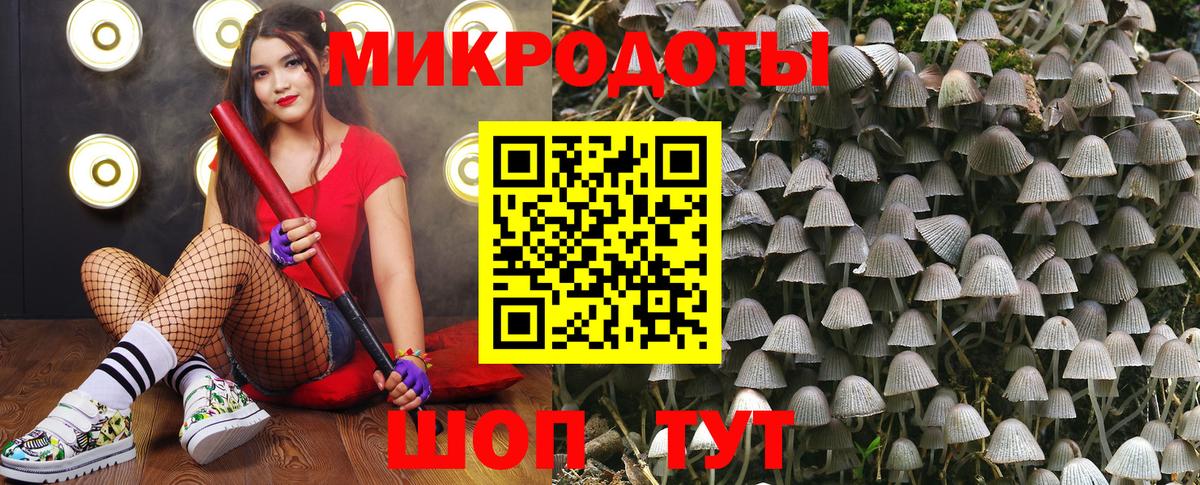 Псилоцибиновые грибы Cubensis Калининград